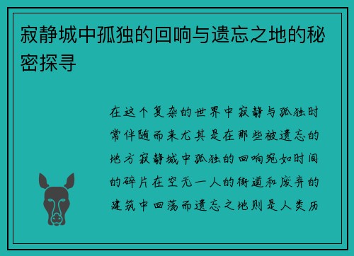 寂静城中孤独的回响与遗忘之地的秘密探寻